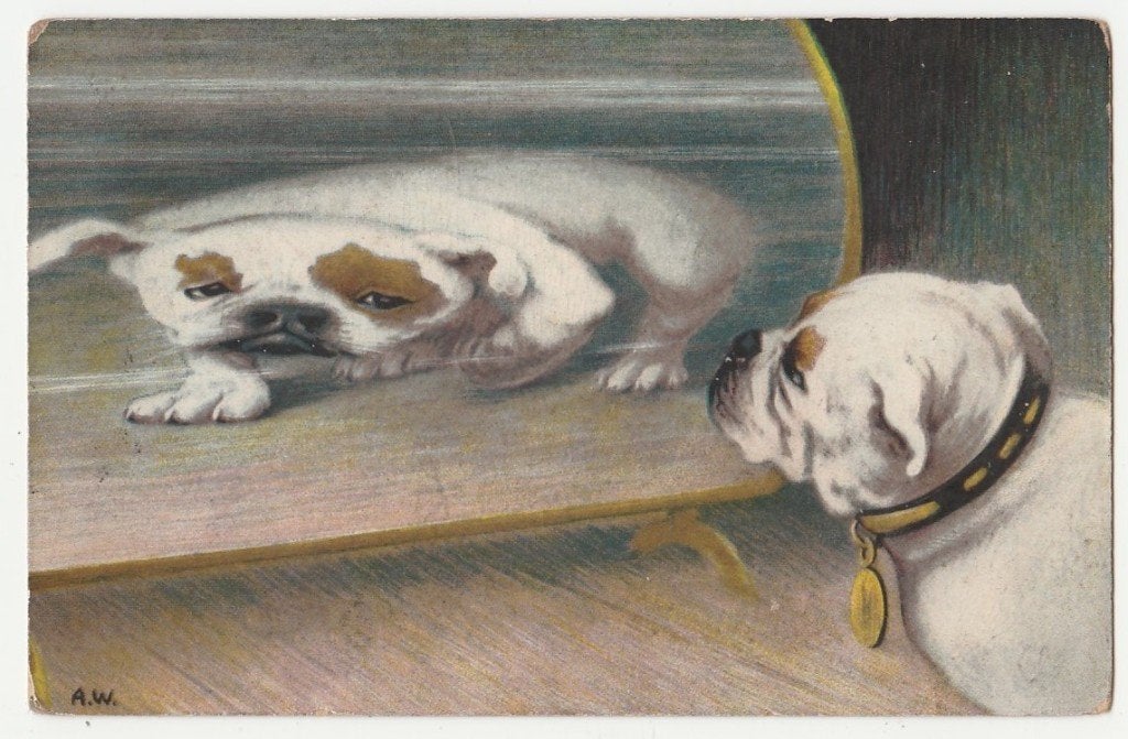 Honden.  Hondje voor een lachspiegel.  Illustrateurs., Verzenden, Voor 1920, Gelopen, Overige thema's