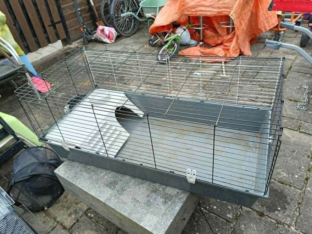 KONIJNEN/CAVIA HOK/KOOI, Hok, Ophalen, Hamster, Minder dan 60 cm