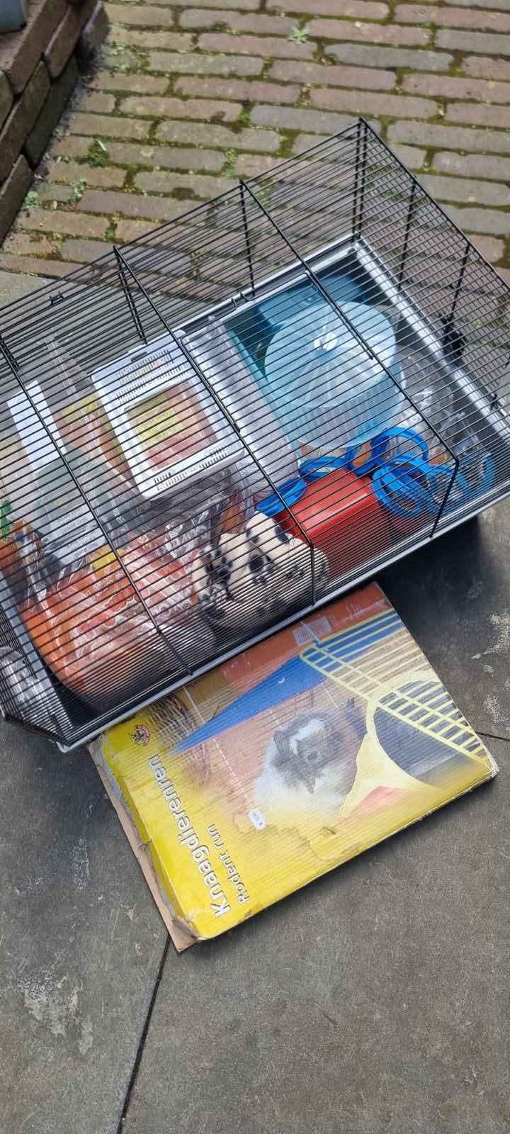Complete hamsterkooi met accessoires + knaagdierenren, Overige typen, Minder dan 75 cm, Hamster, Ophalen
