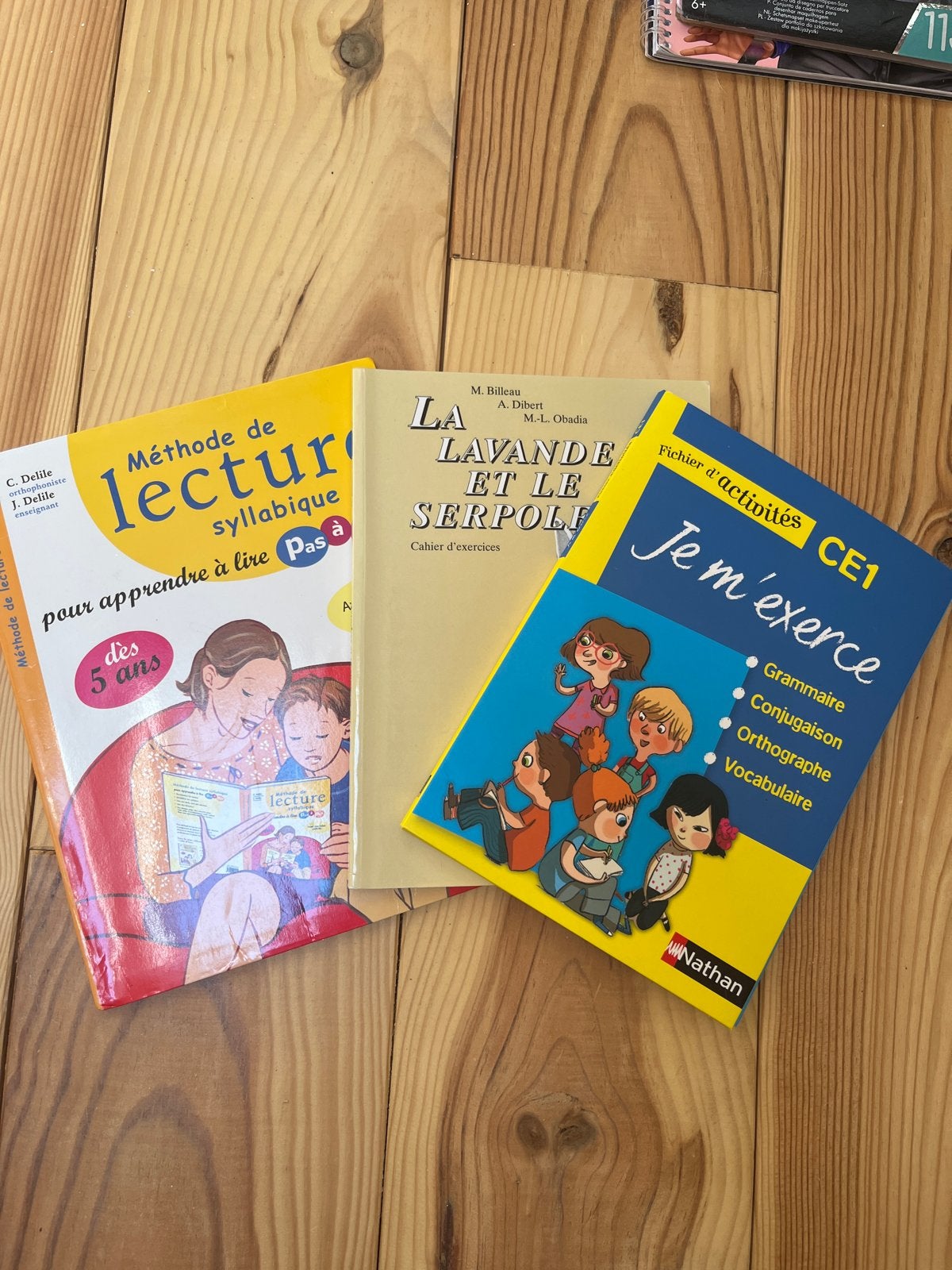 Franse lees- en werkboeken voor kinderen, Verzenden, Zo goed als nieuw, 3 tot 4 jaar