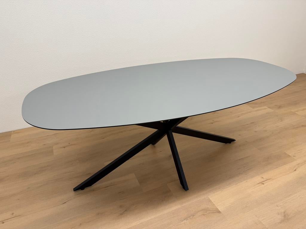 Deens ovale eettafel Linoleum 200x100 - Direct Leverbaar, 100 tot 150 cm, 200 cm of meer, Ophalen of Verzenden, Zo goed als nieuw