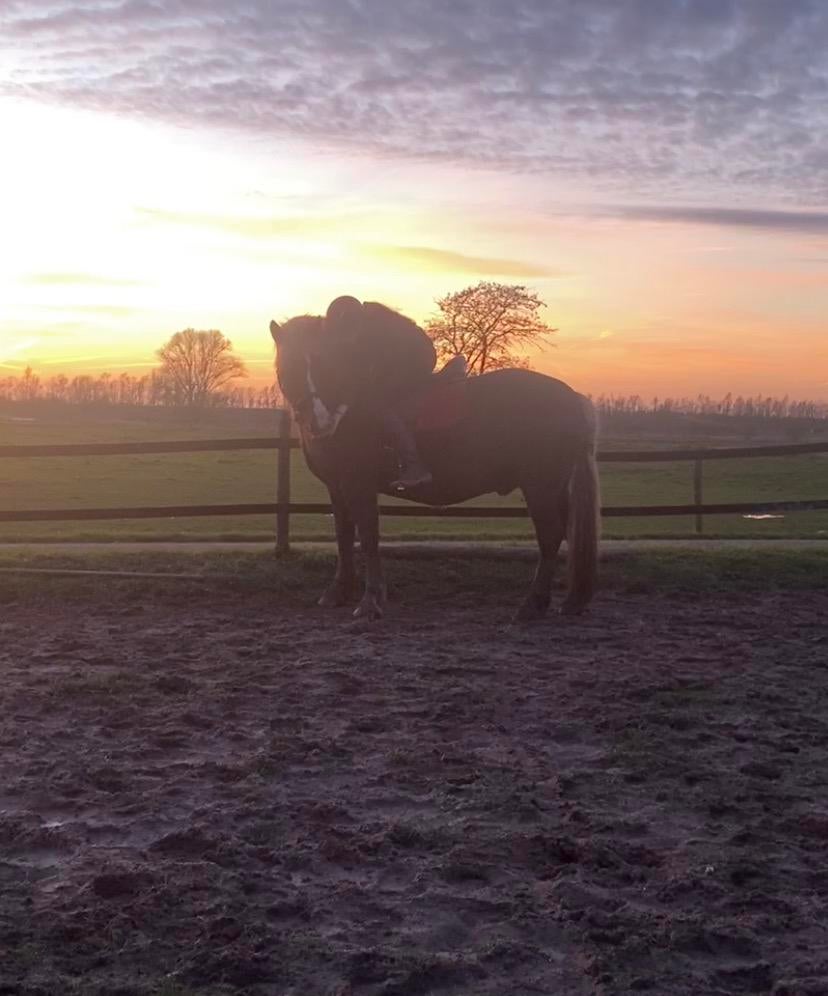 Verzorg paard/pony gezocht, bijrijder aangeboden, Ophalen of Verzenden, Zo goed als nieuw