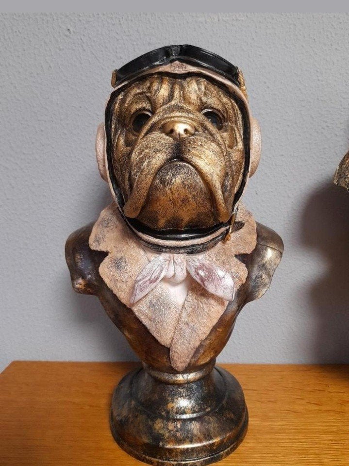 Borst beeld bull dog, Ophalen of Verzenden