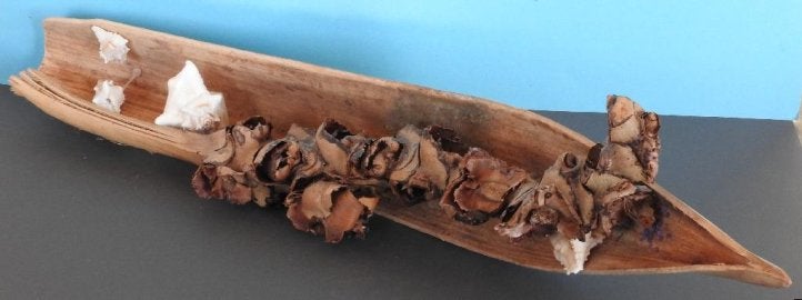 Houten “Kano” voor het maken van een droogstukje., Ophalen of Verzenden, Gebruikt