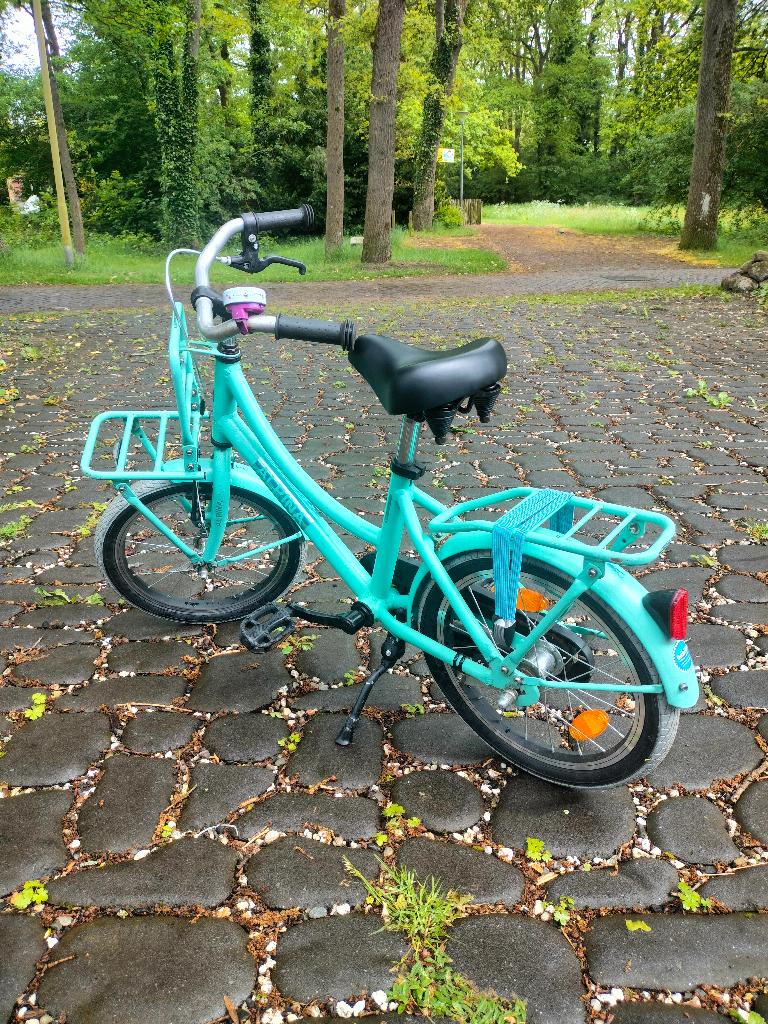 Kinderfiets 16 inch Alpina Cargo, Fietsen en Brommers, Ophalen, Terugtraprem, Alpina, 16 tot 20 inch