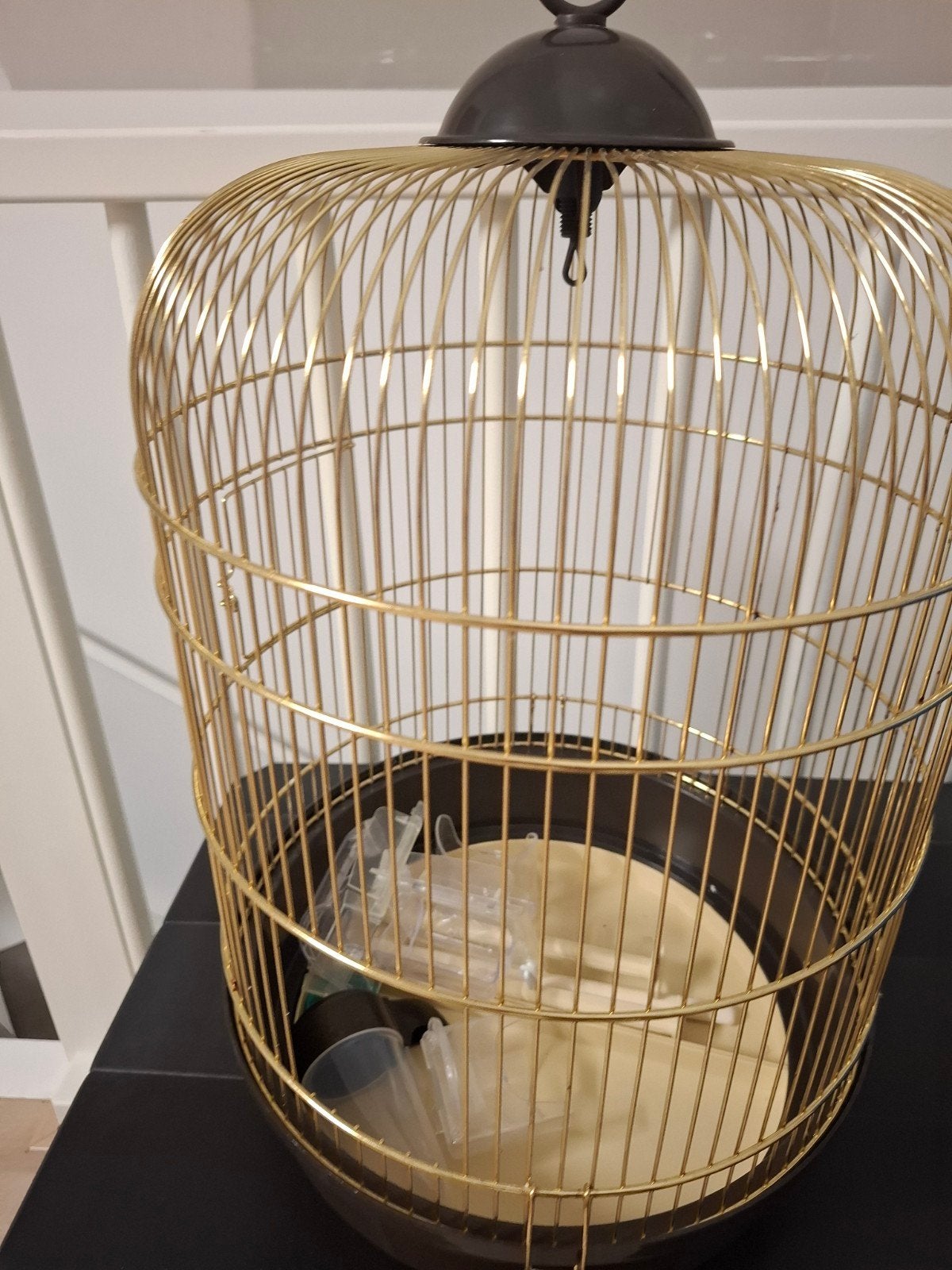 Vogelkooi., Ophalen, Zo goed als nieuw, Metaal, Vogelkooi