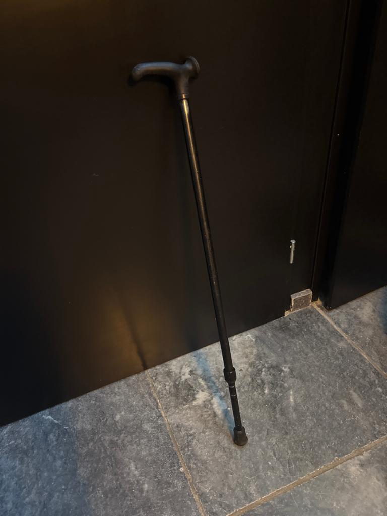 Een mooie wandelstok, Ophalen of Verzenden