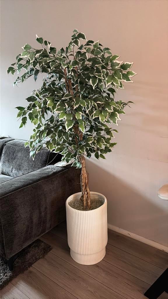 Kuntstboom met pot, Ophalen, Zo goed als nieuw
