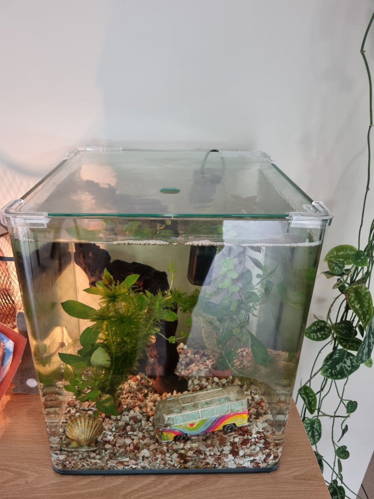 Vissenkom/aquarium te koop, Ophalen, Zo goed als nieuw, Leeg aquarium