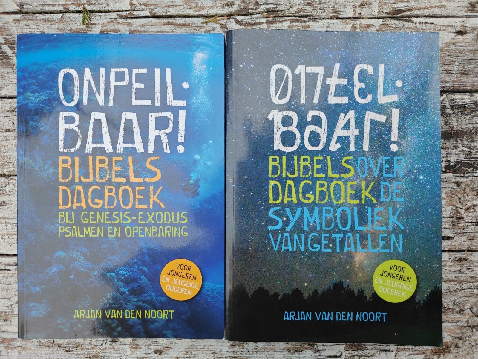 2 Bijbelse dagboeken van Arjan van den Noort., Boeken, Godsdienst en Theologie, Ophalen of Verzenden, Zo goed als nieuw