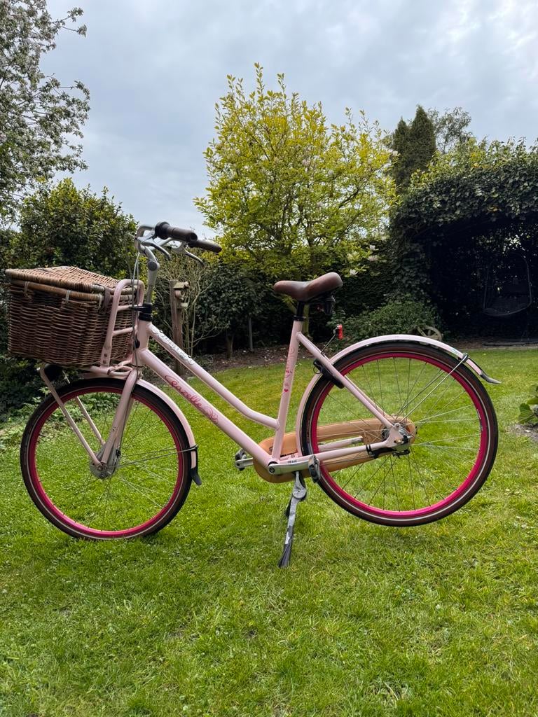 Gazelle Miss Grace damesfiets, Ophalen, Terugtraprem, Versnellingen, 53 tot 56 cm