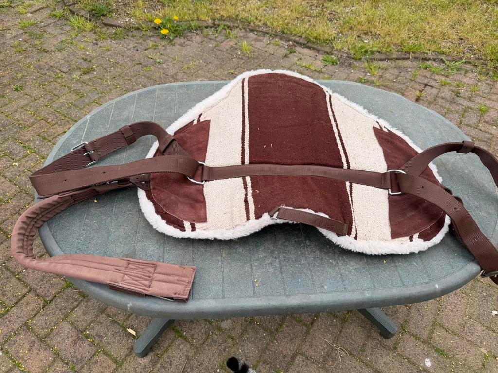 barebackpad full, Full (L), Nieuw, Ophalen of Verzenden, Zadelpad