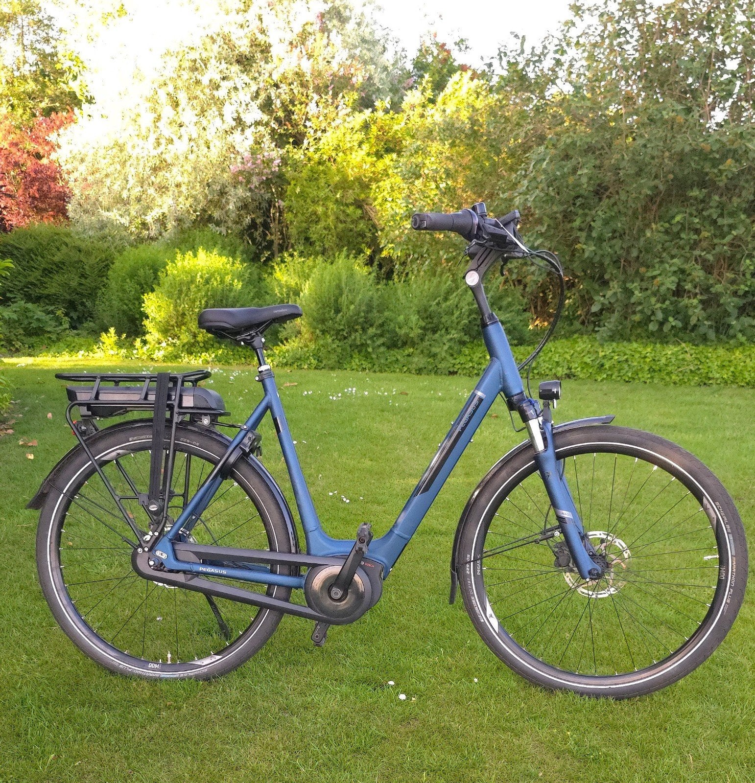 E-bike Pegasus Ravenna / 1264 km / 2023, Fietsen en Brommers, Zo goed als nieuw, 59 cm of meer, 50 km per accu of meer, Ophalen
