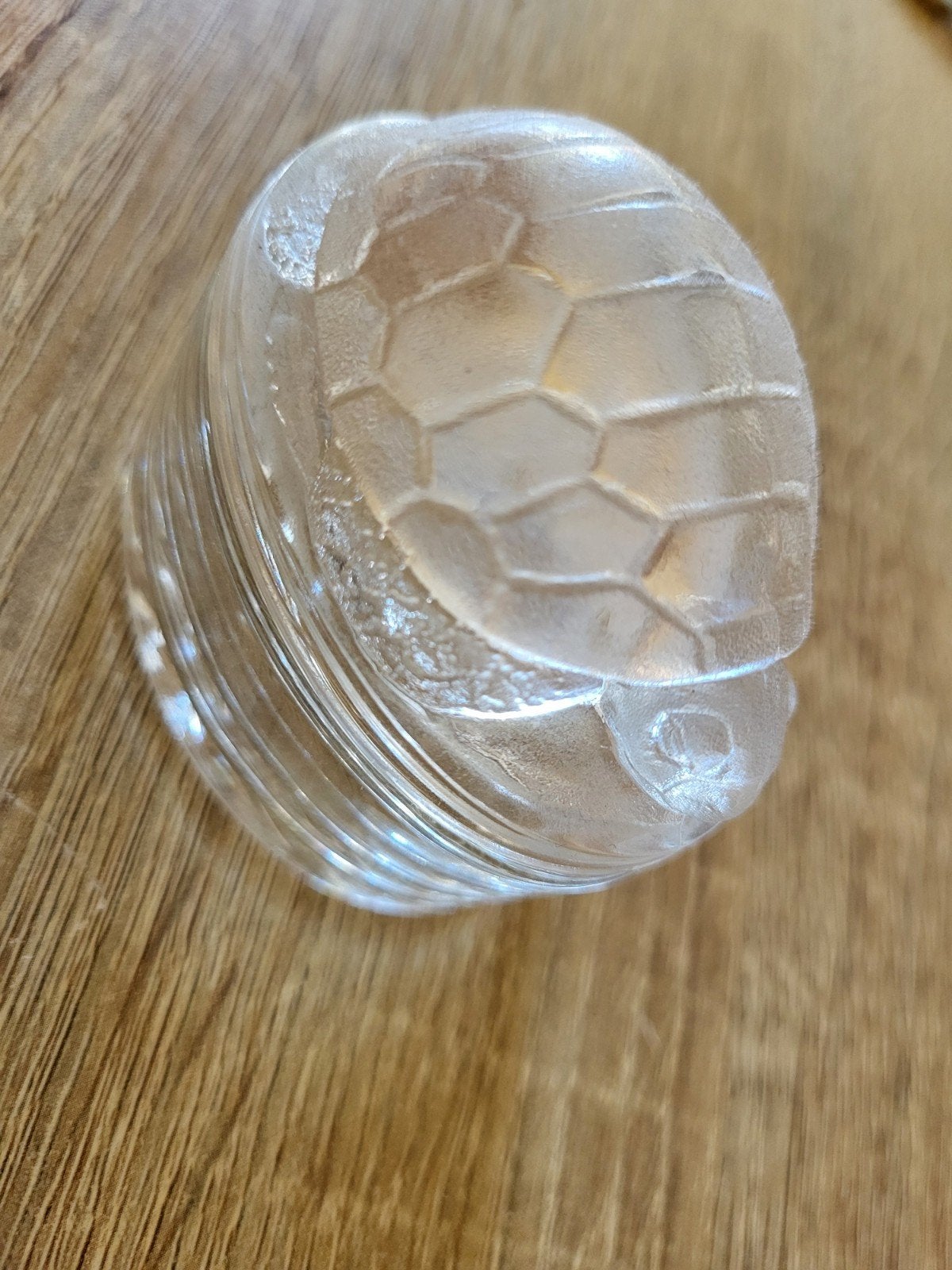 Glazen schildpad doosje uit Aruba, Ophalen of Verzenden