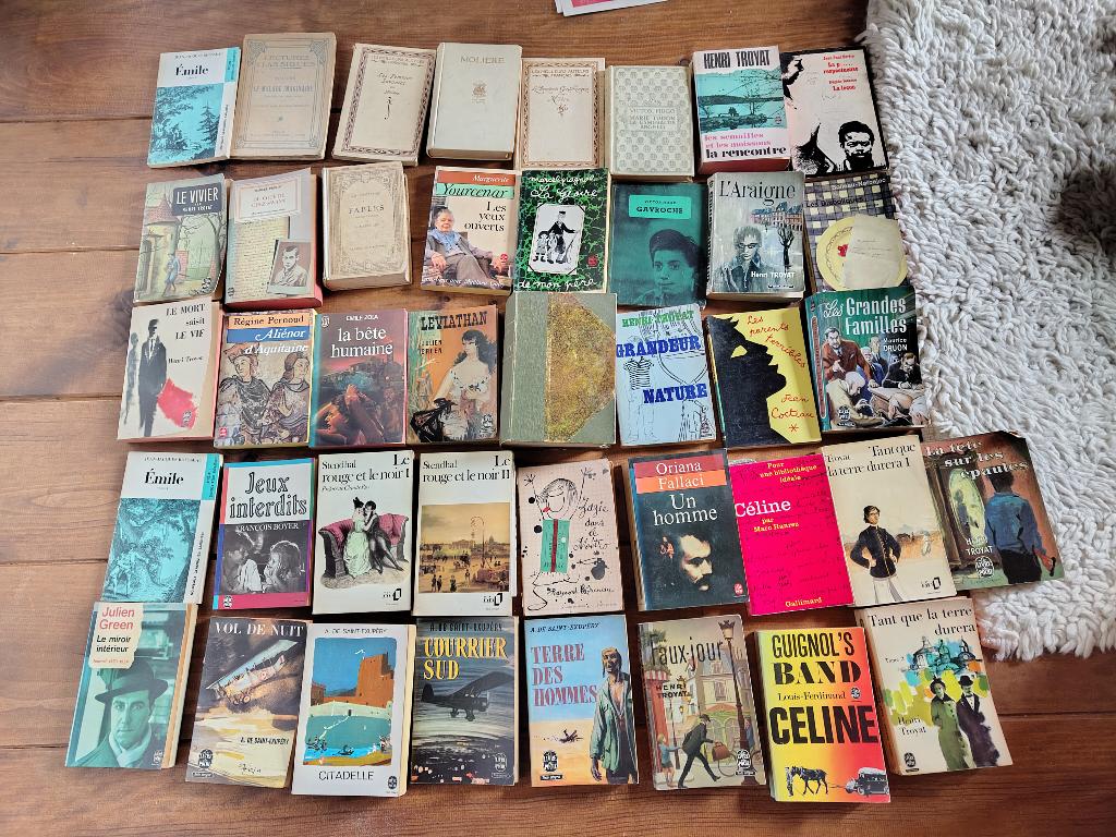 Plusieurs livres francais. Classiques, Ophalen of Verzenden, Gelezen, Diverse auteurs, Fictie