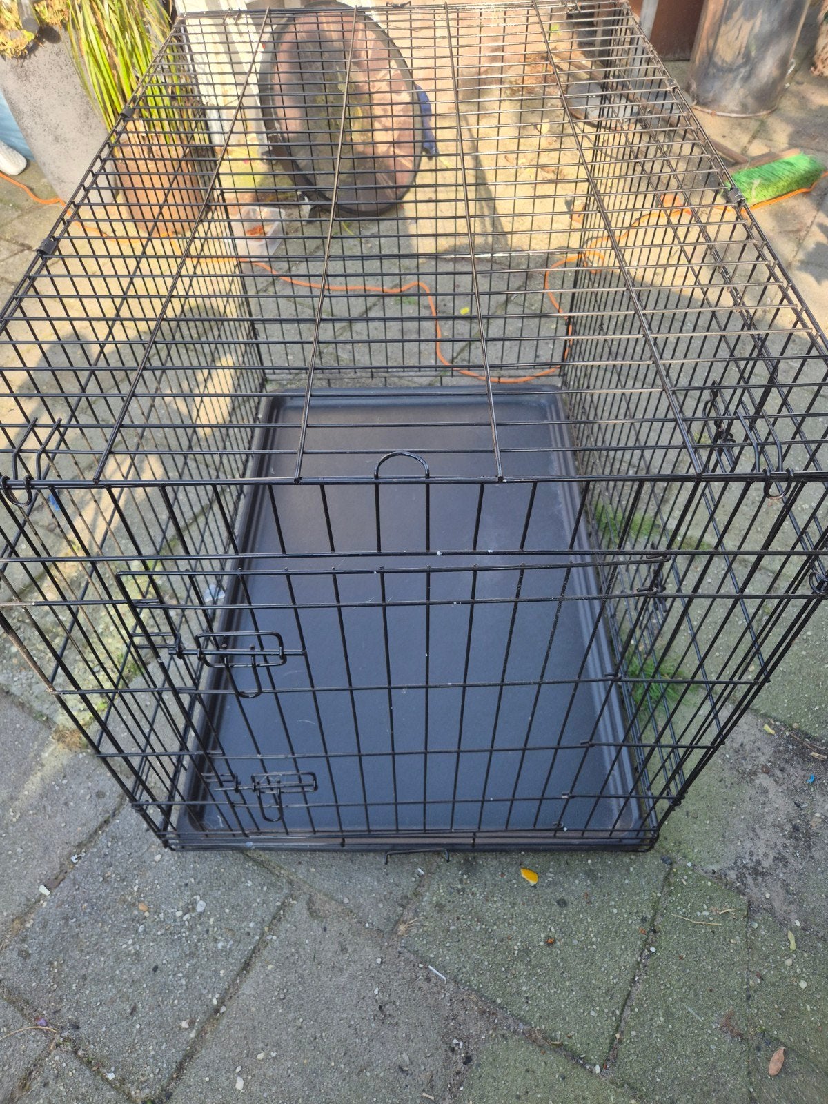 mooie goed onderhouden honde bens, Ophalen of Verzenden