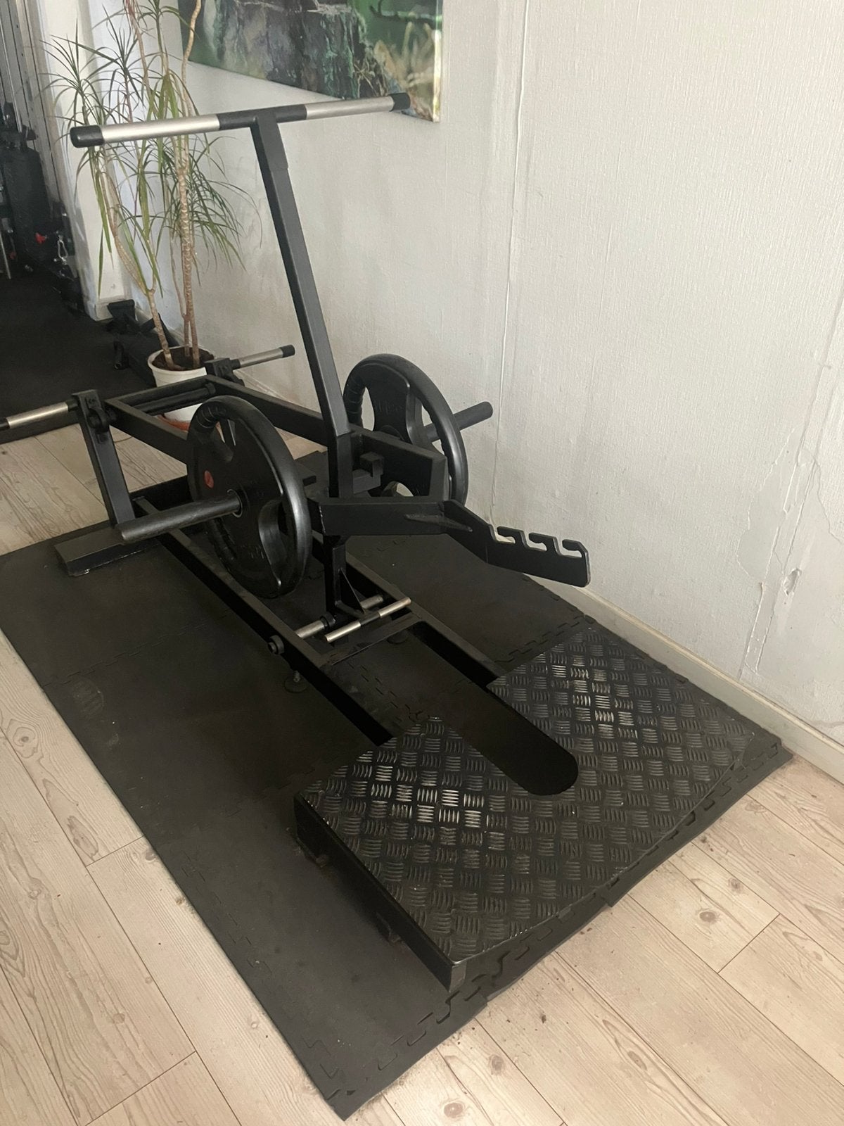 Belt squat machine, Sport en Fitness, Ophalen of Verzenden, Gebruikt, Overige typen