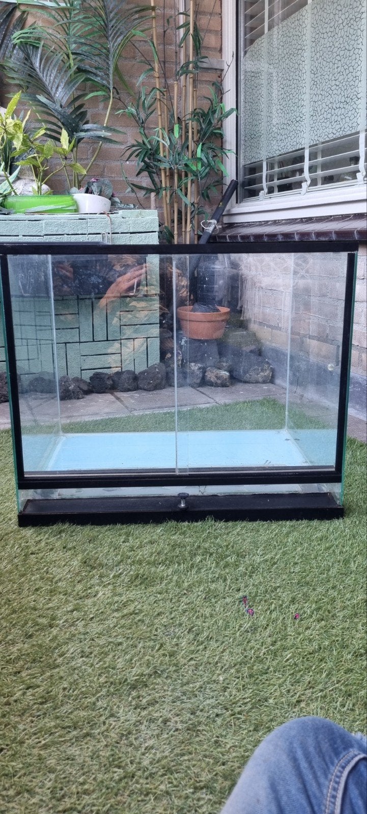 Terrarium 60x50x50, Dieren en Toebehoren, Reptielen en Amfibieën | Toebehoren, Ophalen