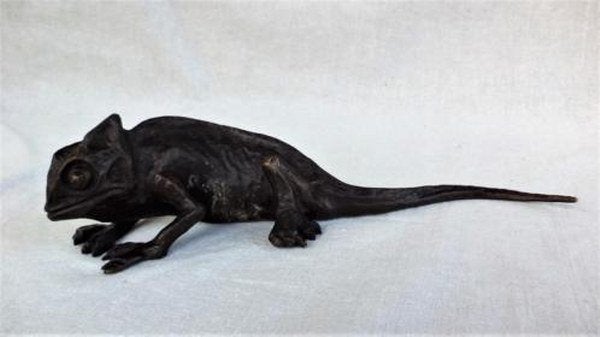 Antieke Wiener Bronze Kameleon – Franz Xaver Bergmann (Wien), Ophalen, Brons
