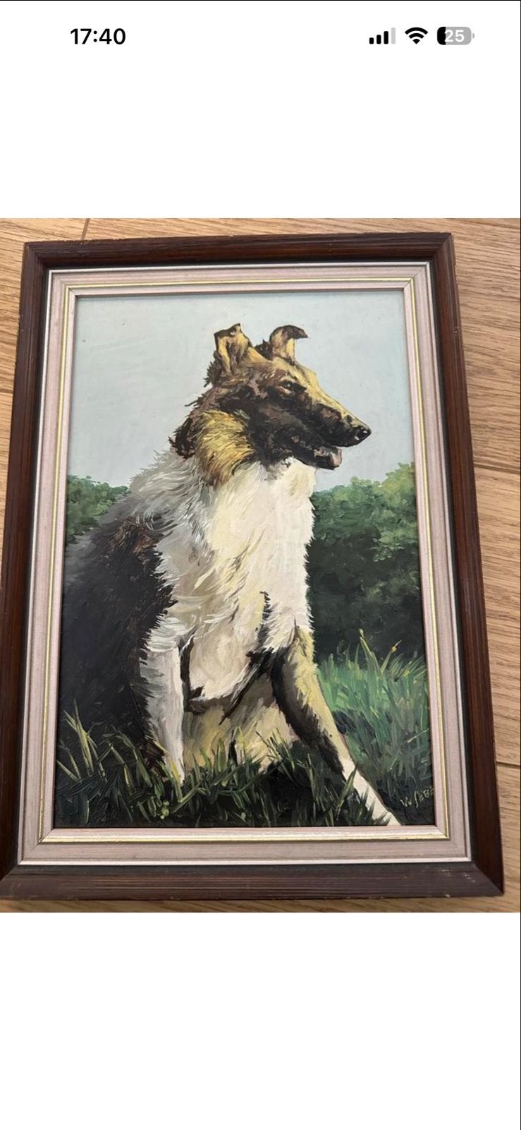 Schilderij Collie Hond - Gesigneerd V.V. Sebe, Antiek en Kunst, Doek, Realistisch, Dieren, Ophalen of Verzenden