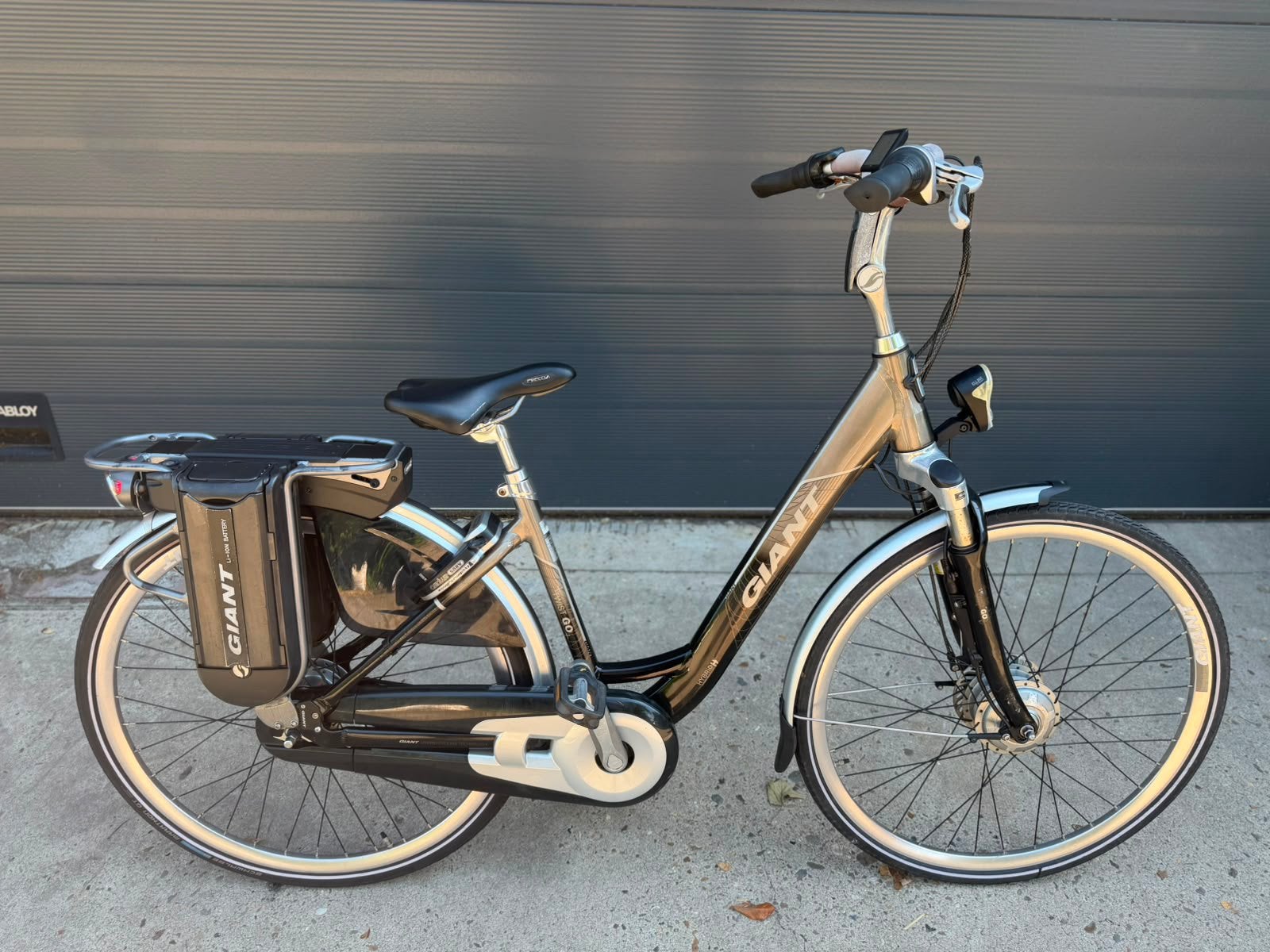 Electrische giant twist go double fiets, Ophalen, Versnellingen, Giant, Zo goed als nieuw