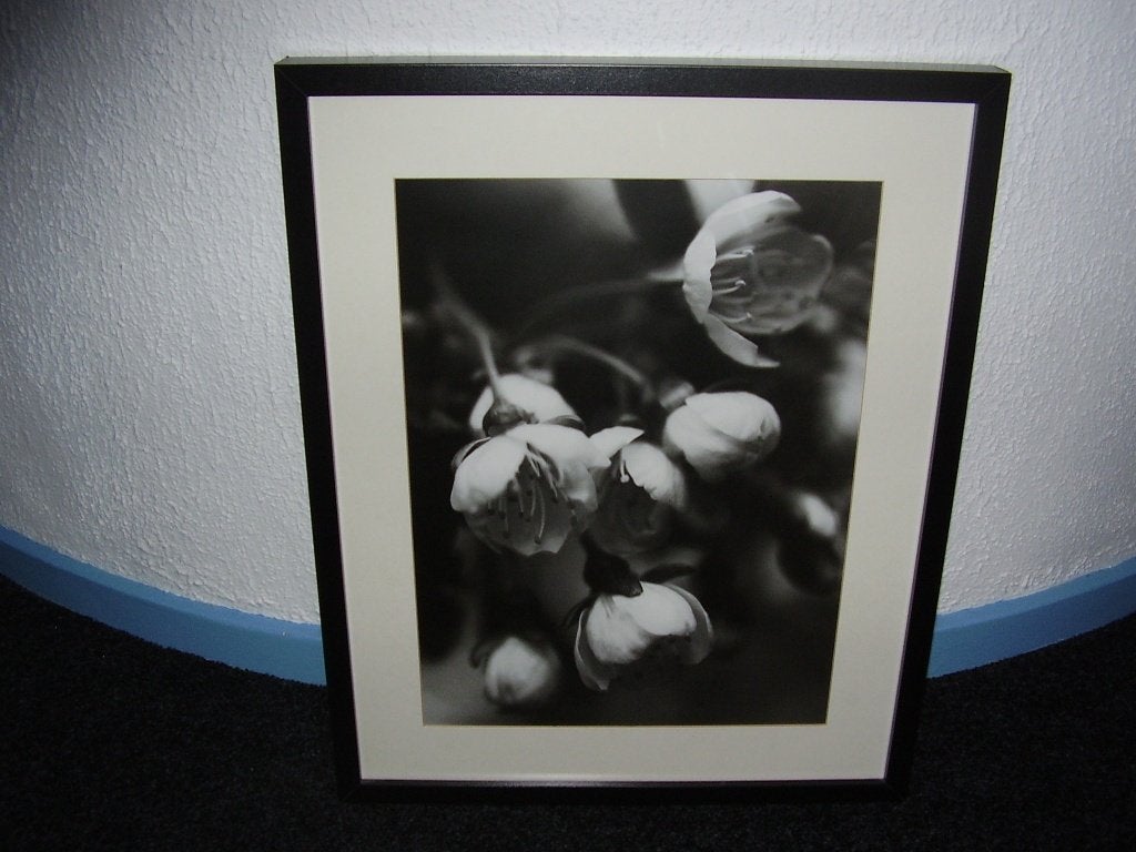 Schilderij Orchidee Ikea 3 stuks, Ophalen, 50 – 75, Minder dan 50 cm, Gebruikt