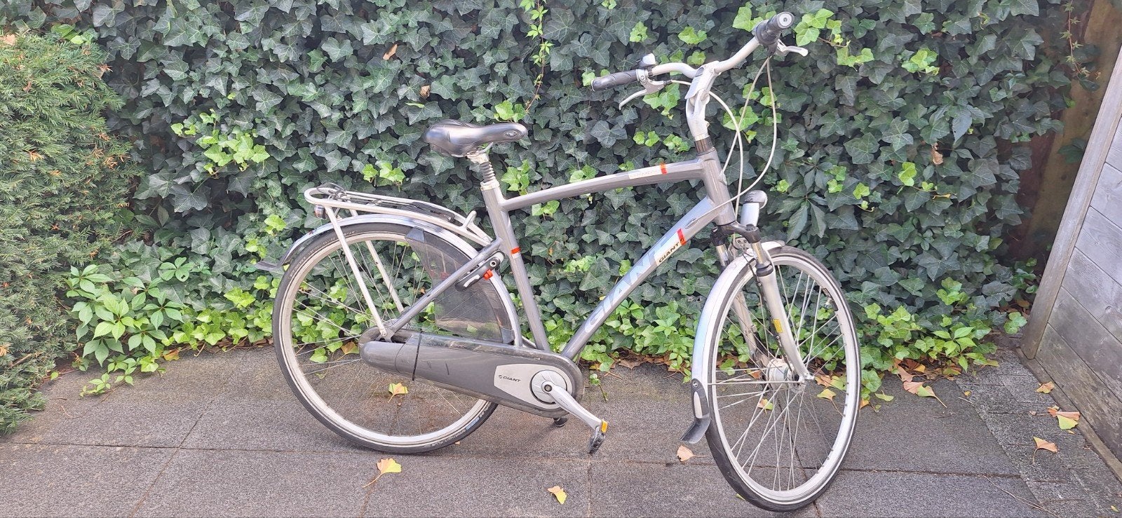 Giant Cosmo CS2 herenfiets L, Ophalen, Gebruikt, Versnellingen, 49 tot 53 cm