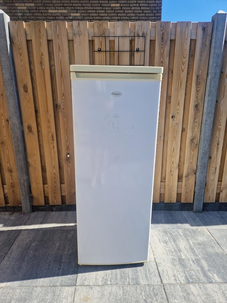 Koelkast te huur, Witgoed en Apparatuur, Ophalen, Minder dan 60 cm, 160 cm of meer