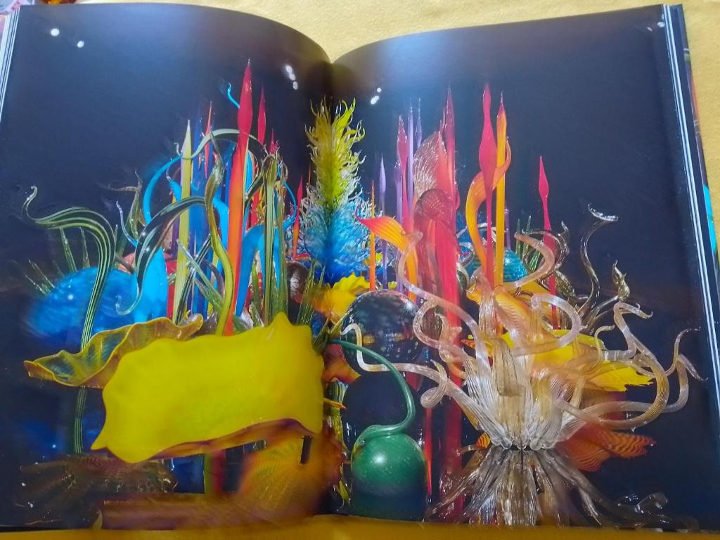 Chihuly, boek over de werken van een glaskunstenaar, Boeken, Kunst en Cultuur | Beeldend, Zo goed als nieuw, Ophalen