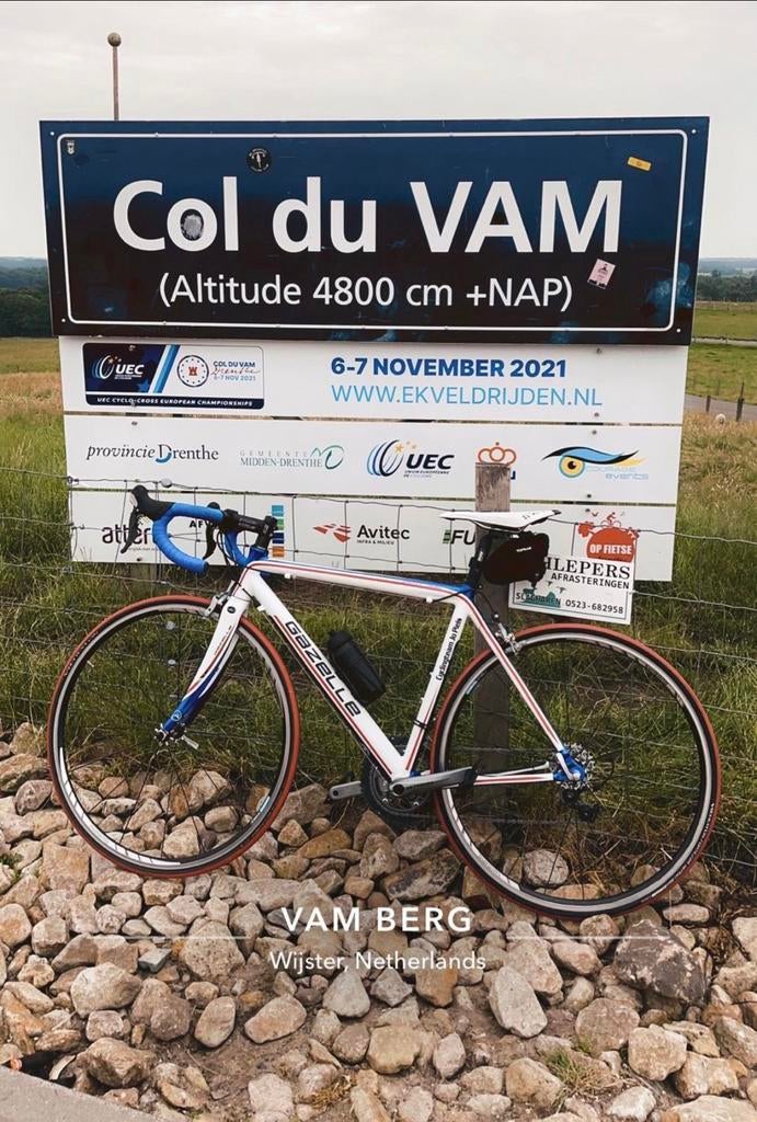 Gazelle Goldline Racing (maat 53), Fietsen en Brommers, Fietsen | Racefietsen, Ophalen, Gebruikt, Aluminium, Meer dan 20 versnellingen