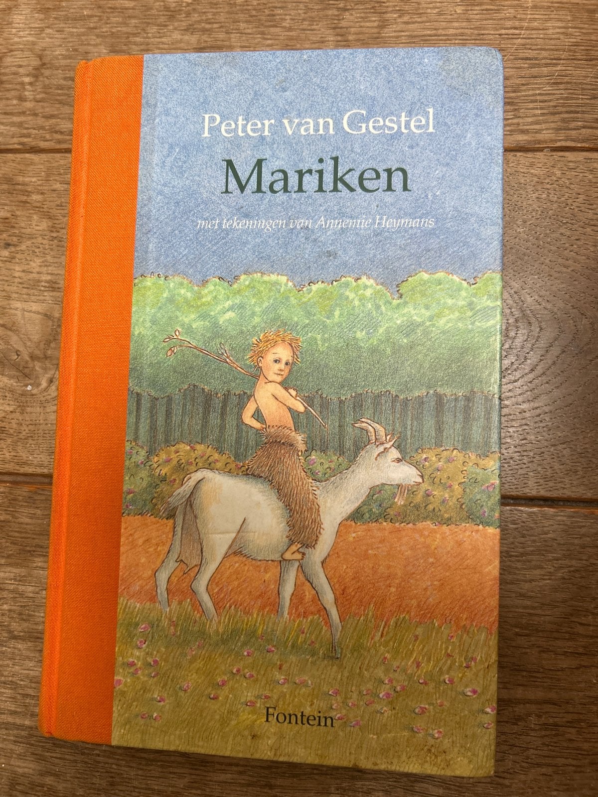 Mariken - Peter van Gestel (Kinderboek), Ophalen of Verzenden, Gelezen, Fictie algemeen