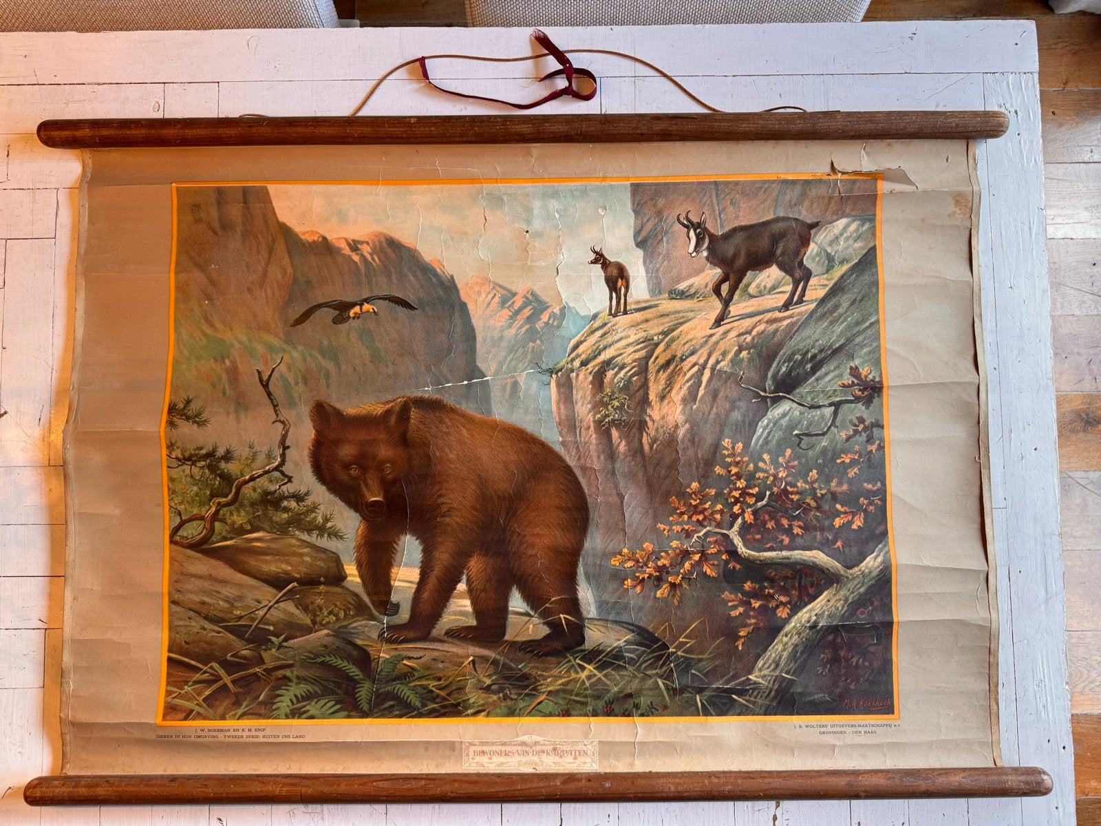 Vintage schoolplaat 'Bewoners van de Karpaten', Antiek en Kunst, Antiek | Schoolplaten, Ophalen of Verzenden, Natuur en Biologie