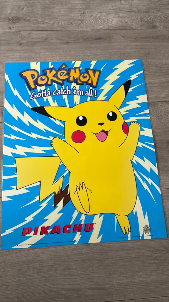 Geplastificeerde poster pokemon, Ophalen of Verzenden, Gebruikt, A1 t/m A3, Film en Tv
