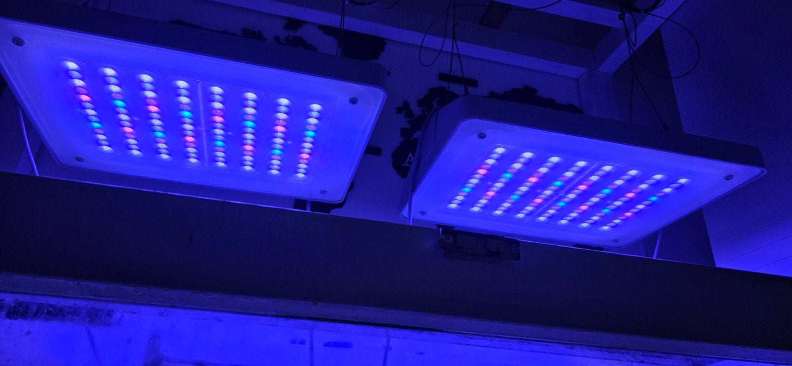 2x Philips CoralCare Gen1 met Controller, Ophalen, Inclusief toebehoren, Verlichting of Verwarming