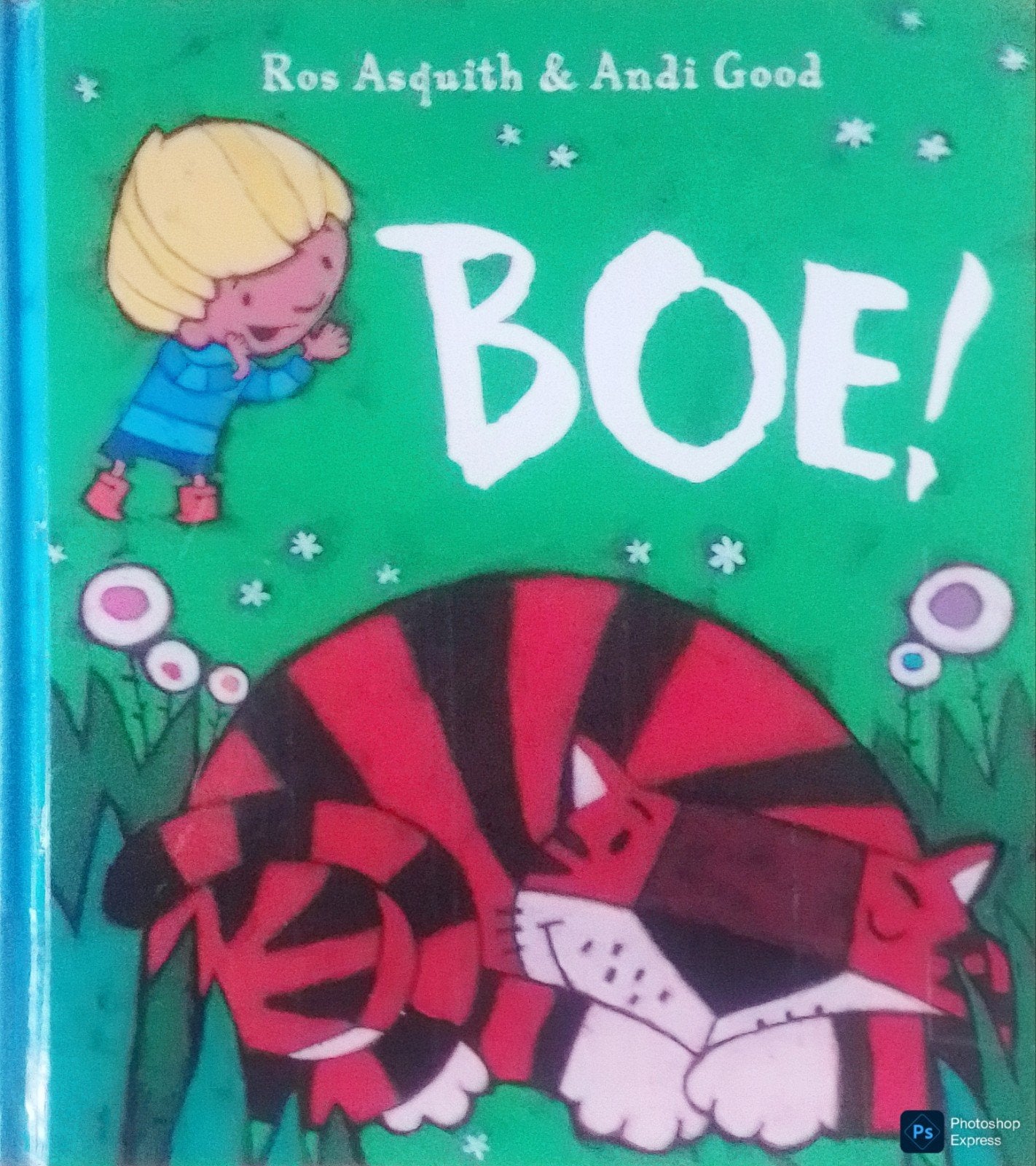 Boe!, Boeken, Gelezen, 3 tot 4 jaar, Ophalen of Verzenden, Ros Asquith & Andi Good.