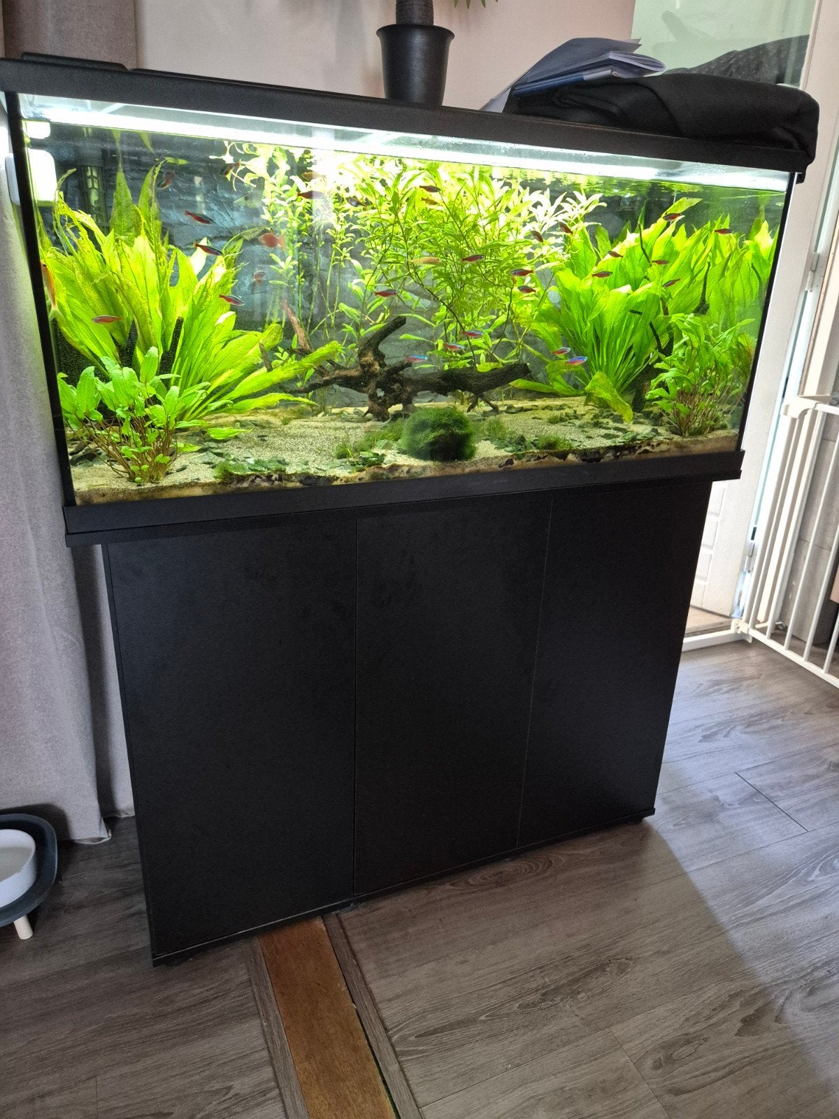 Eheim aquarium incl. onderkast en pomp, Dieren en Toebehoren, Vissen | Aquaria en Toebehoren, Ophalen, Zo goed als nieuw, Leeg aquarium