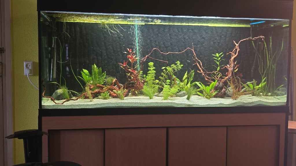 Aquarium, Ophalen, Gebruikt, Gevuld zoetwateraquarium