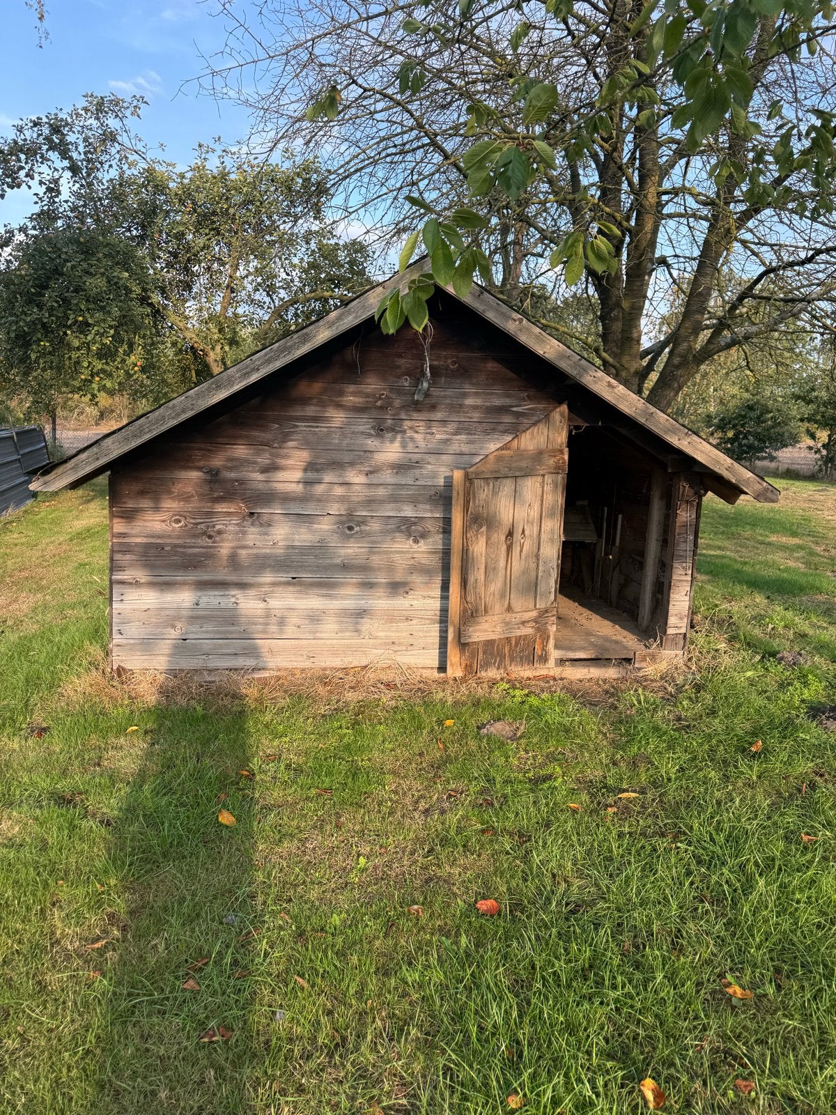 Houten schuur/tuinhuisje Kippenhok Hondenhok, Ophalen, Gebruikt, Kippenhok of Kippenren