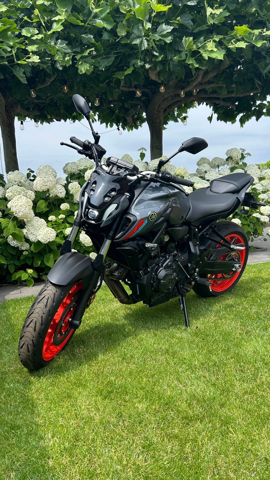 Yamaha MT-07, Particulier, Naked bike
