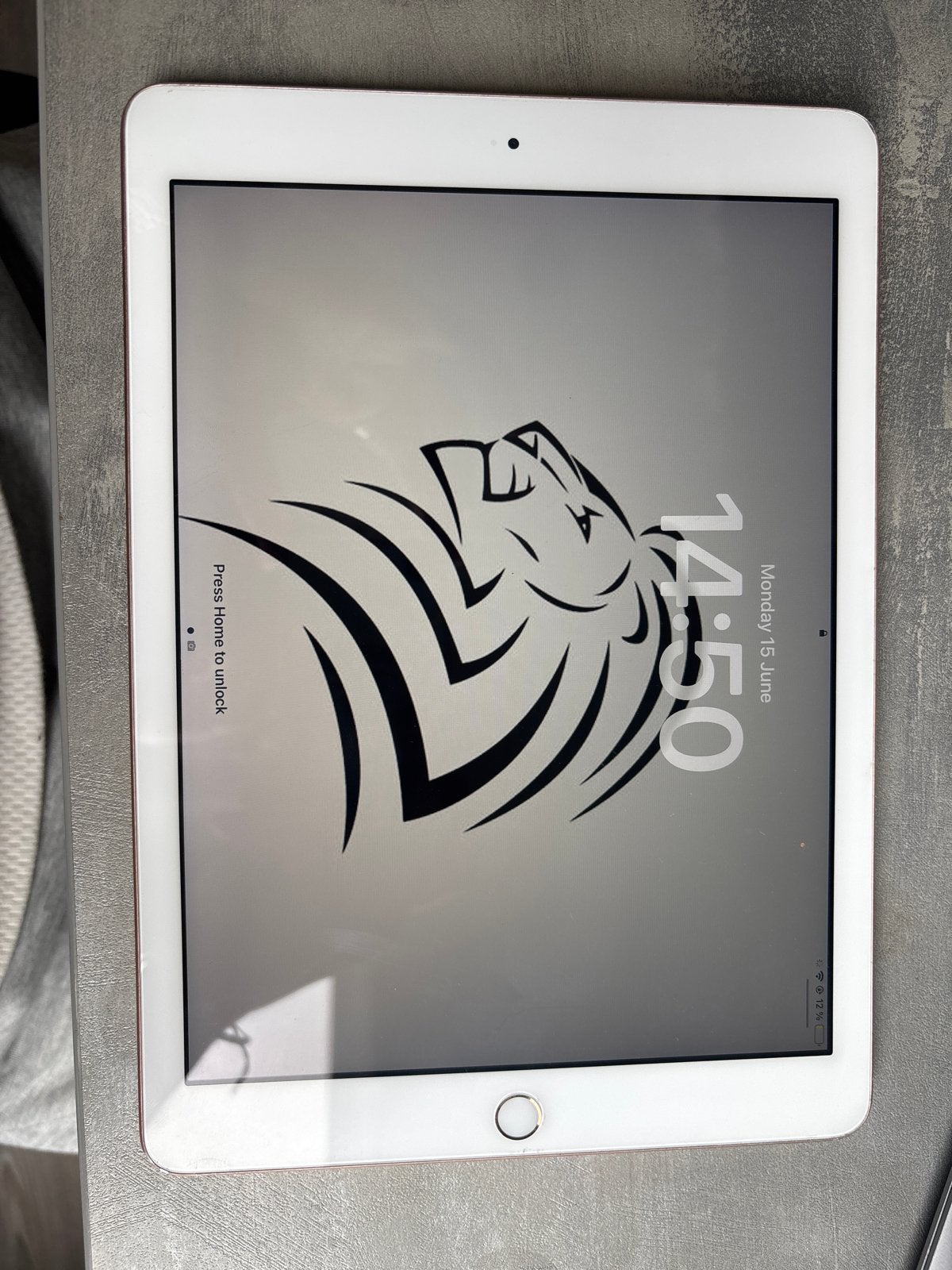 iPad Air 2 128GB met hoes, Computers en Software, Apple iPads, 10 inch, Gebruikt, Apple iPad Air, Ophalen of Verzenden