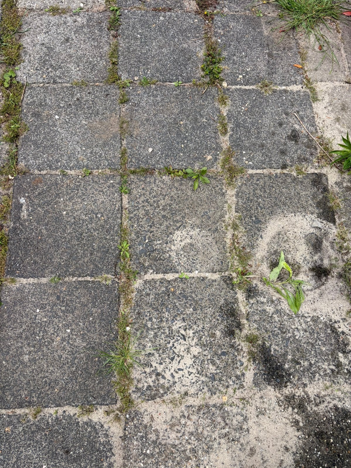 Tegels, grijze stoeptegels gratis, Ophalen, Gebruikt, 5 tot 10 m², Beton