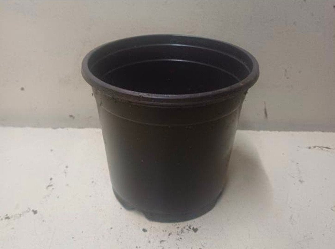 Kweekpotten plantenpotten bloempotten 14 cm, Kunststof, Gebruikt, Rond, Ophalen of Verzenden
