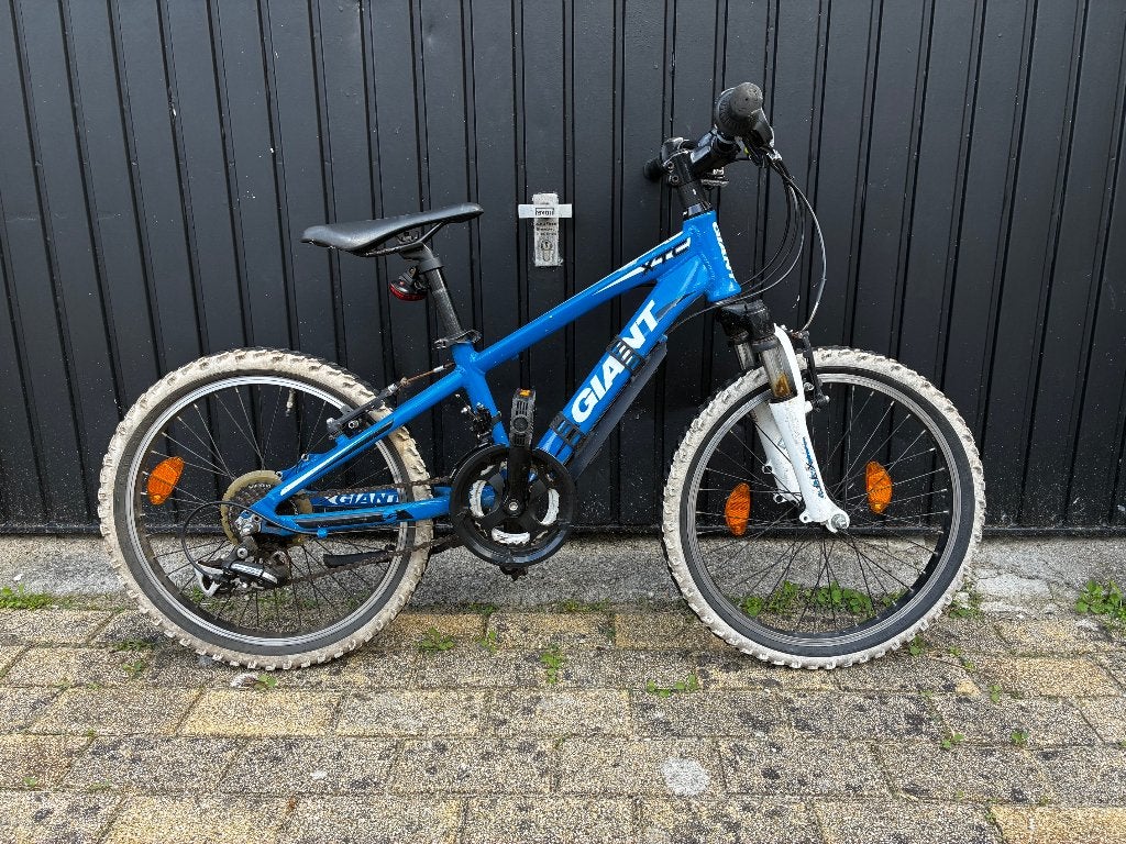 kinderfiets, Fietsen en Brommers, Ophalen, Gebruikt, Giant, Minder dan 16 inch