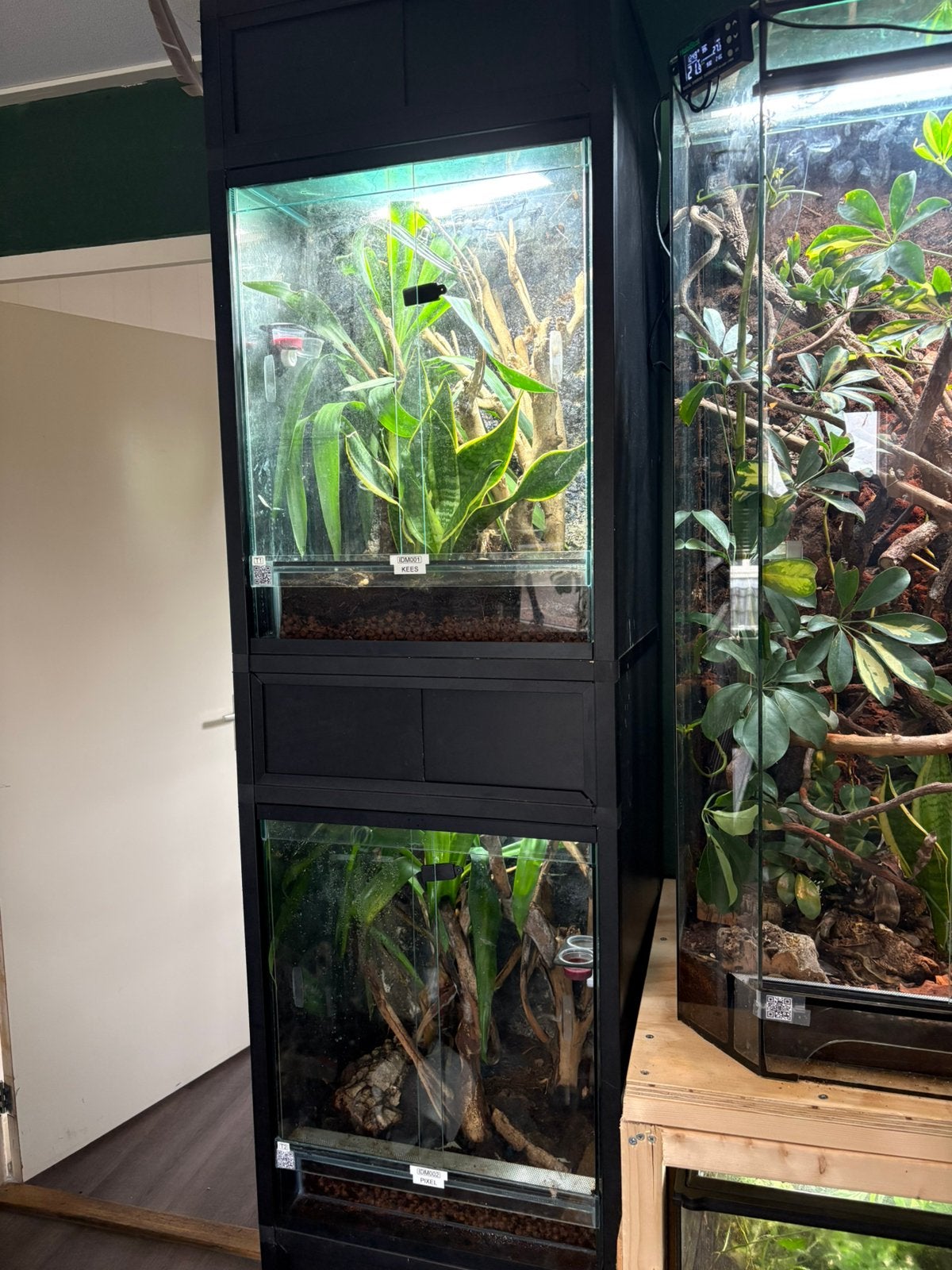 Terrarium stelling met terrariums, Ophalen, Zo goed als nieuw