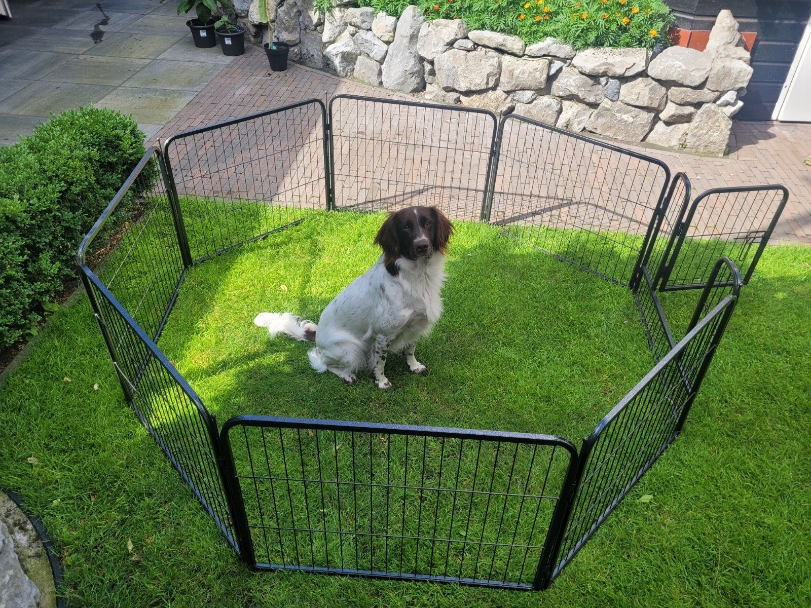 Puppy ren  stevige kwaliteit, Dieren en Toebehoren, Hondenbenches, Ophalen, Zo goed als nieuw