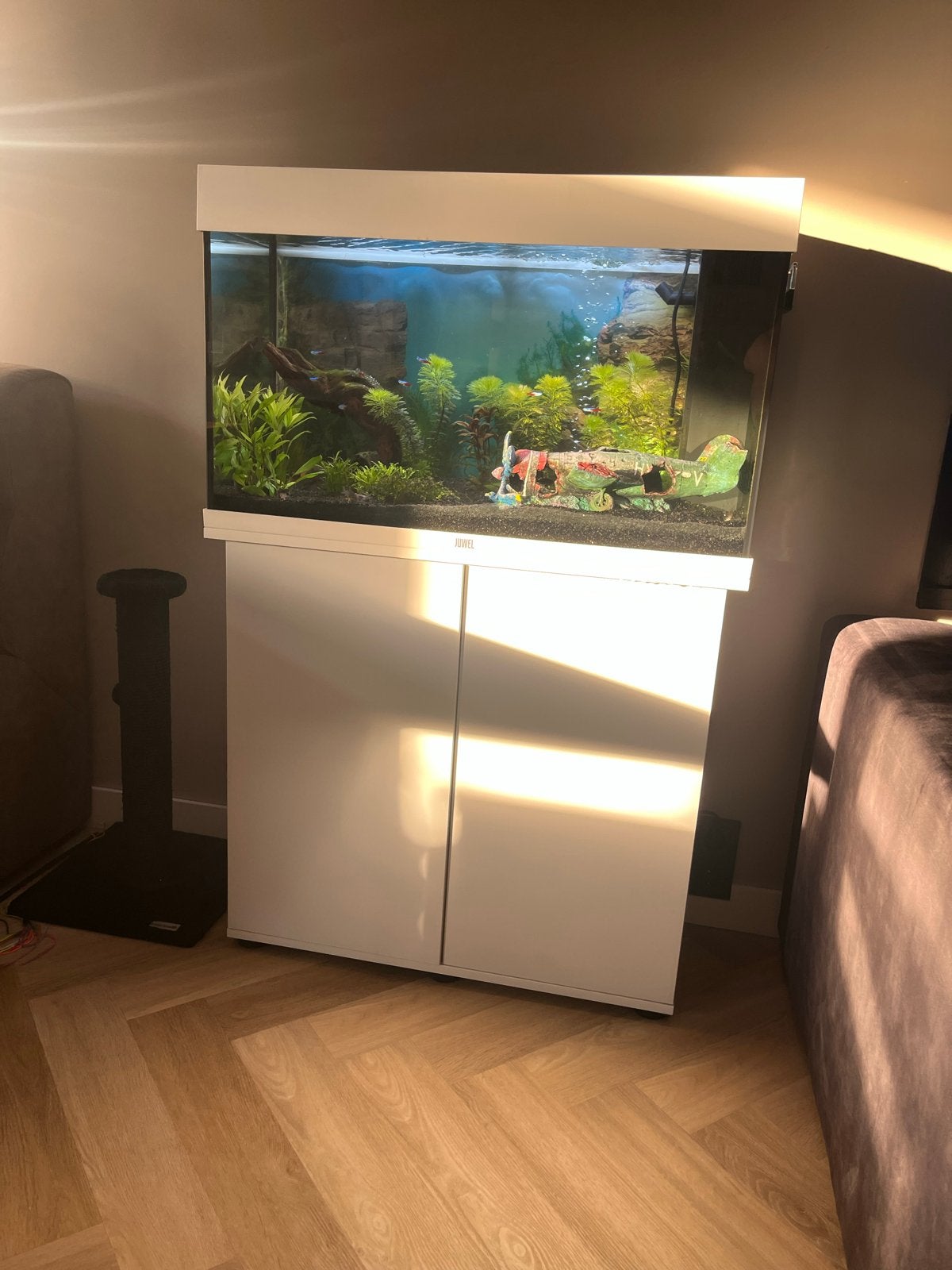 Juwel Rio 125 inclusief kast, Ophalen, Gebruikt, Gevuld zoetwateraquarium, Juwel
