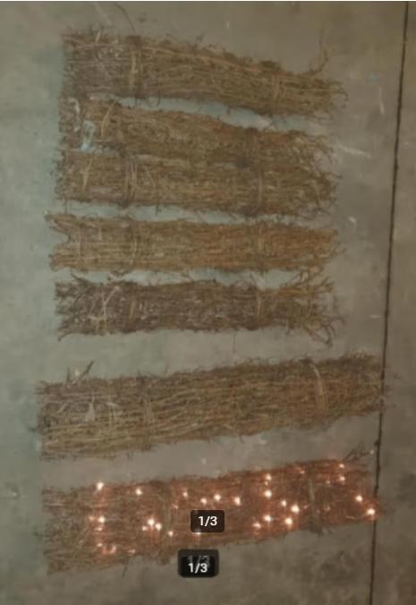 kerst licht takken, Ophalen, Gebruikt
