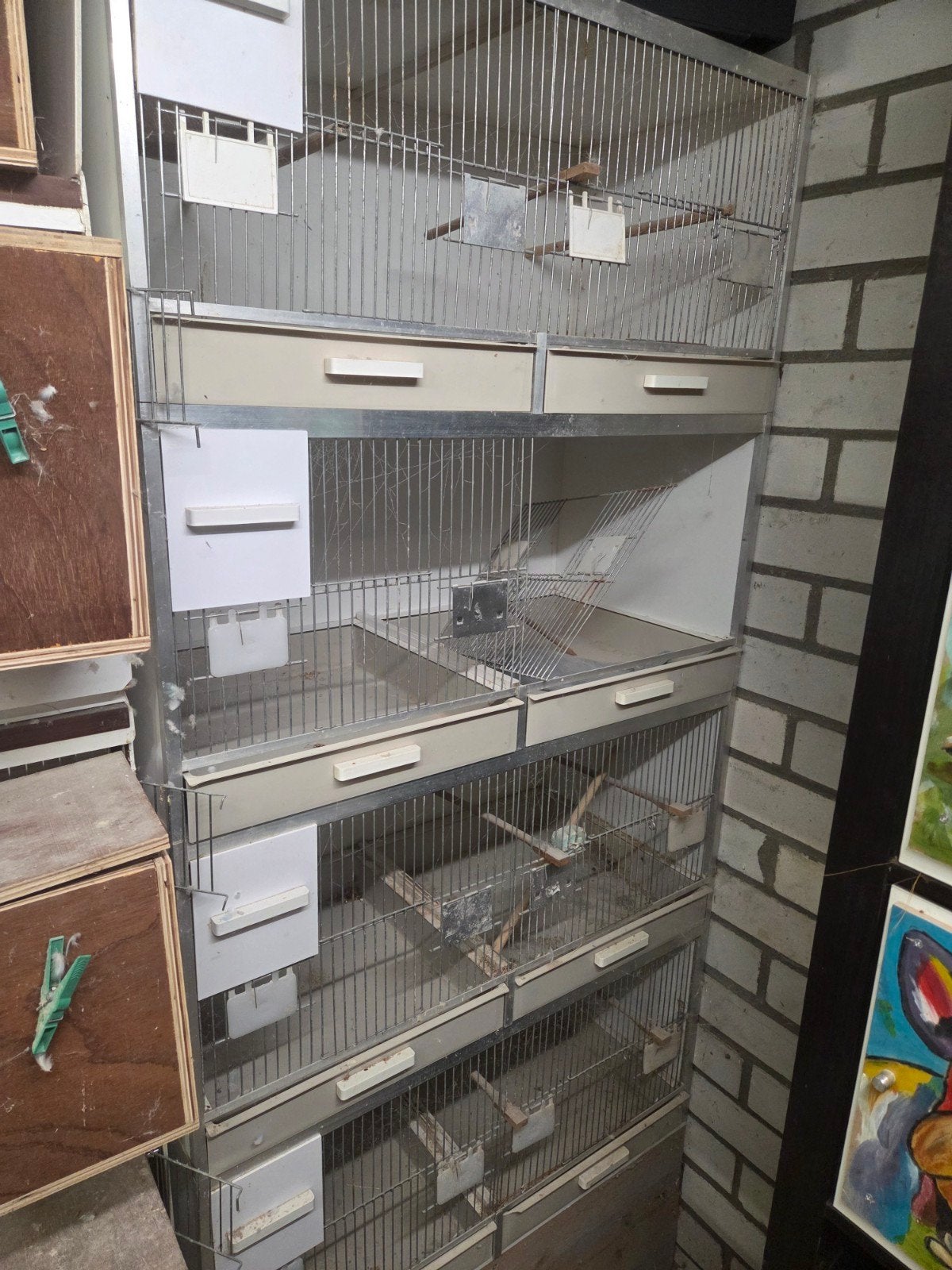 Broed kweek stelling met toebehoren, Ophalen of Verzenden, Hout, Broedkooi of Kweekkooi