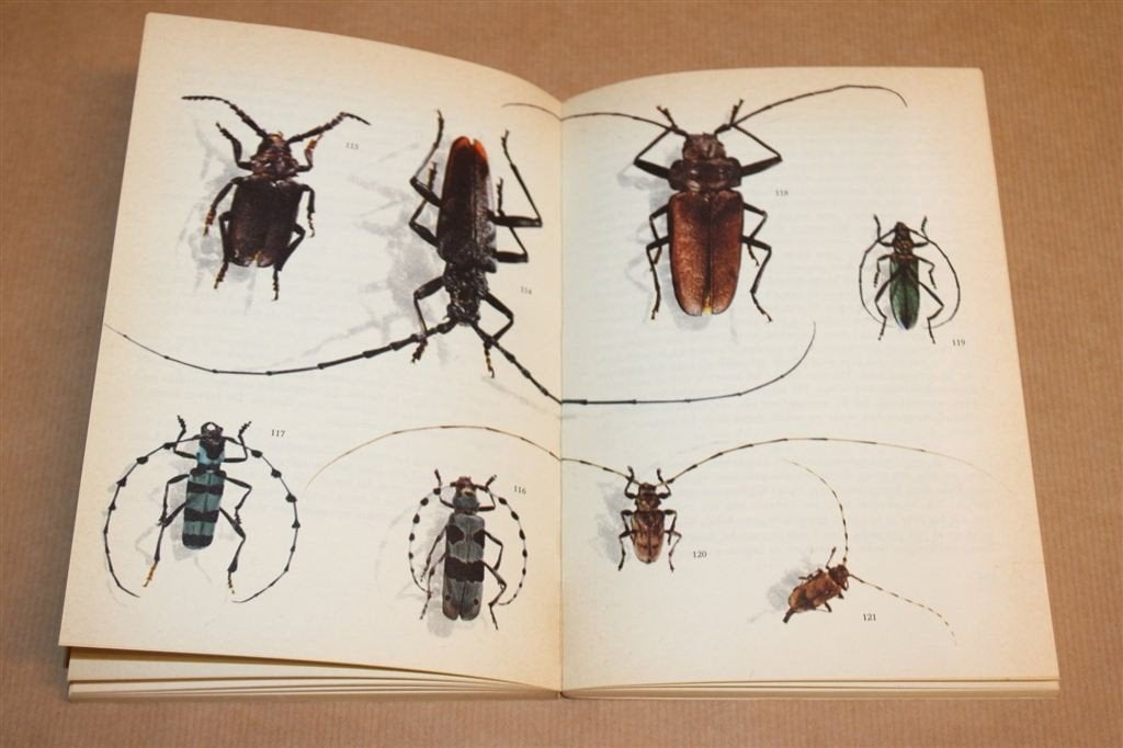 Kevers in Kleur — Jupiter Reeks, Vintage Boek 1964, Ophalen of Verzenden, Gelezen