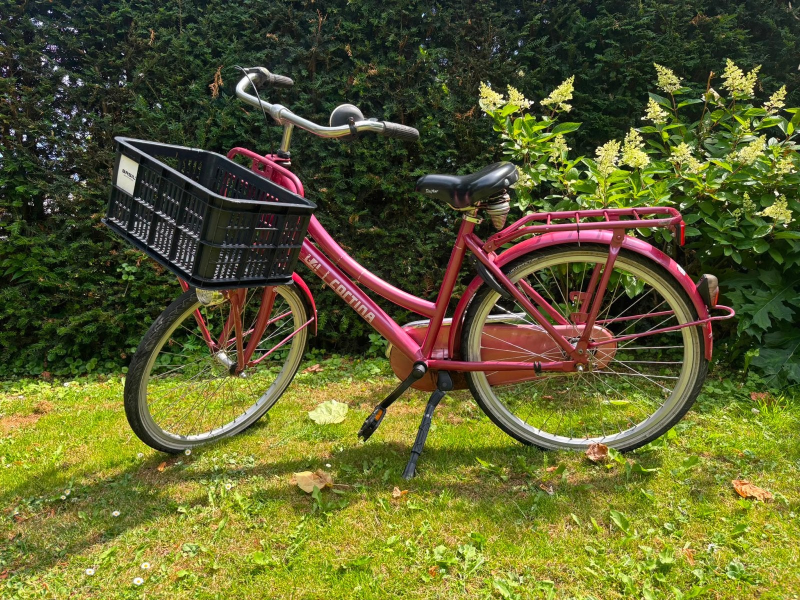 Cortina Lief! Meisjesfiets - Roze met mand, Terugtraprem, Gebruikt, Minder dan 47 cm, Ophalen